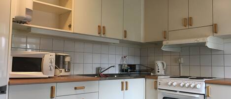 Family Apartment | Private kitchen | Fridge, microwave