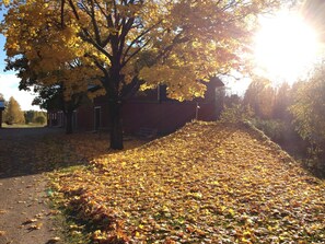 Garden - Vägsjöfors Herrgård (Torsby)