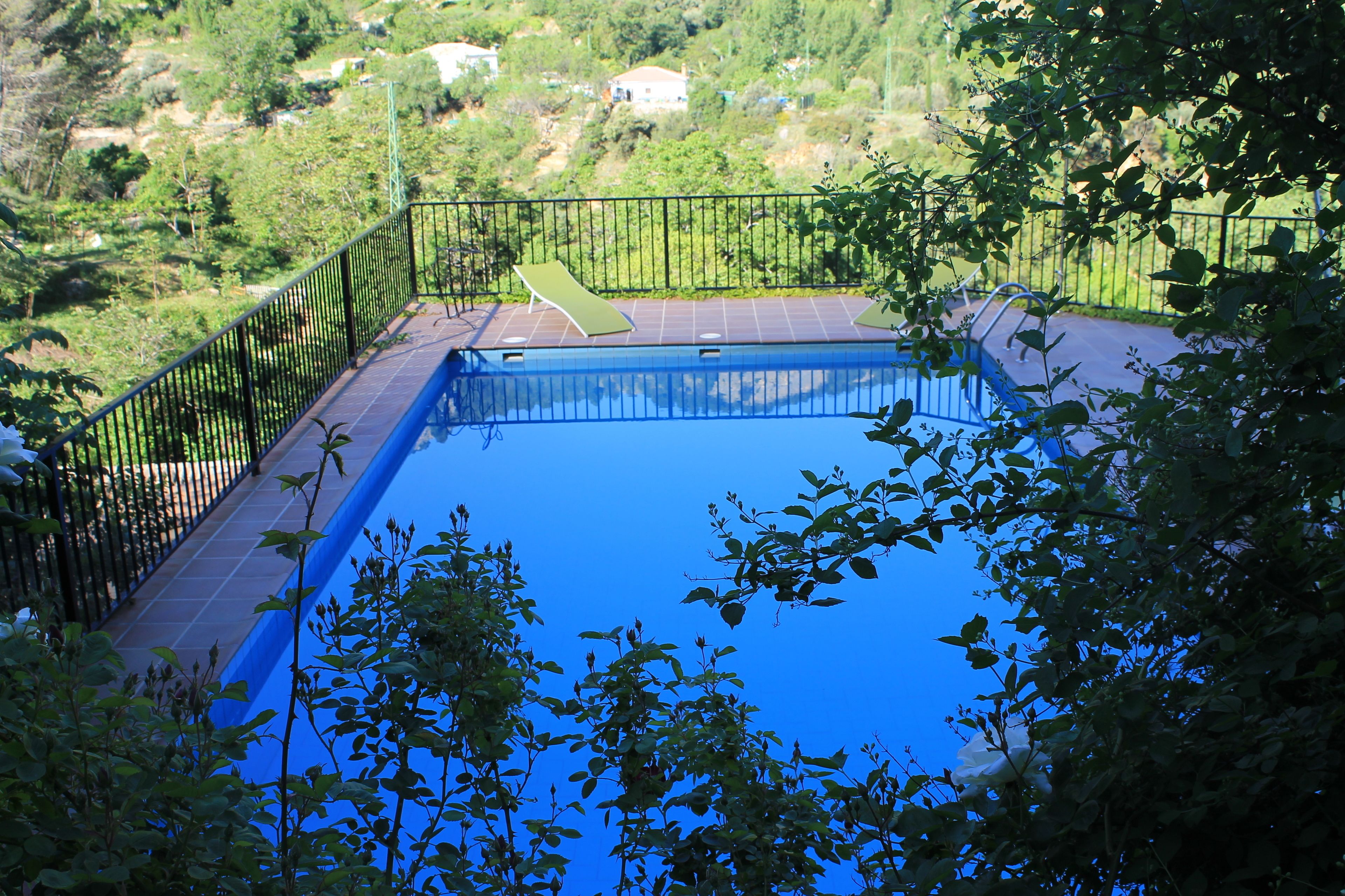 A swimming pool with a black metal fence, surrounded by greenery and a house in the background.