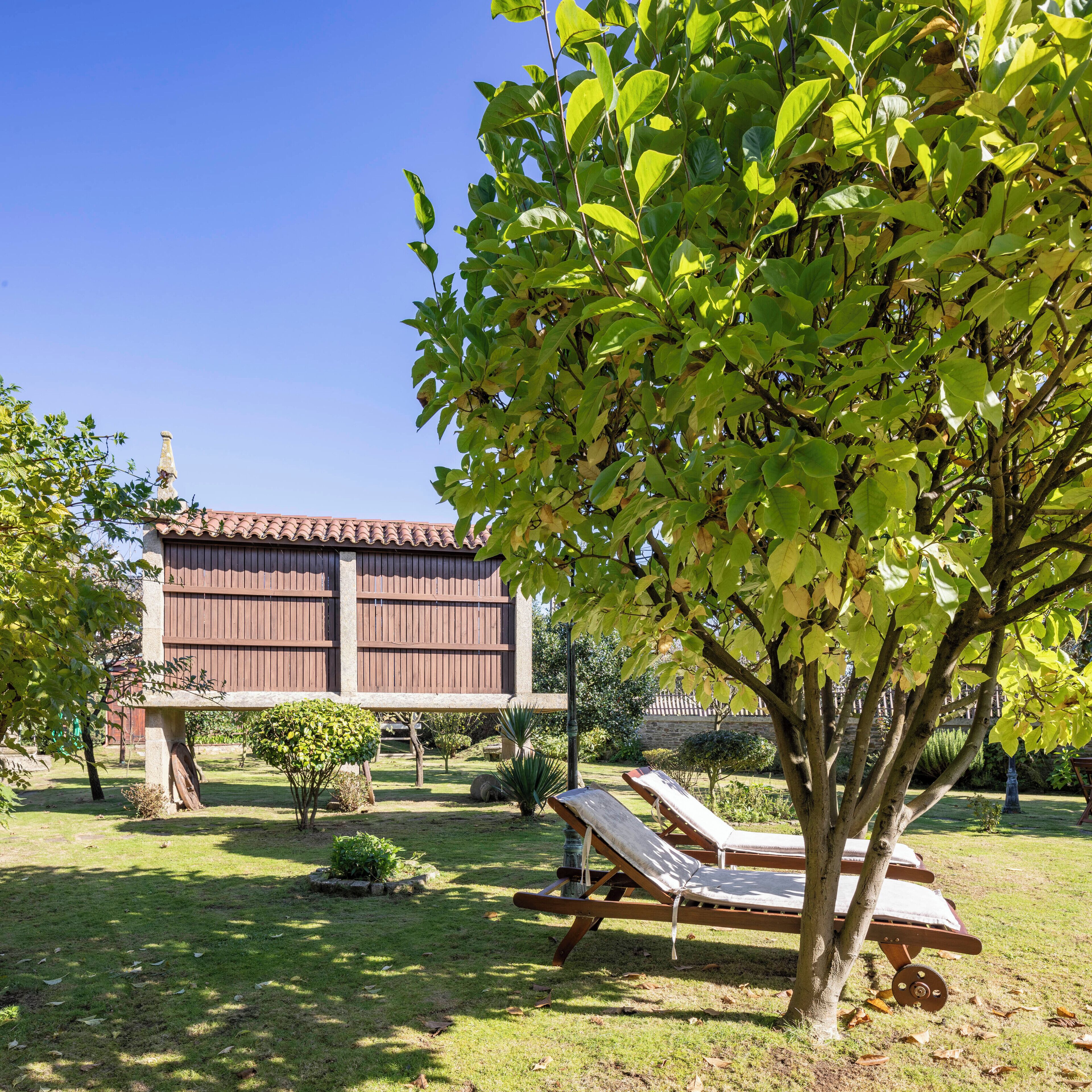 Un patio con un banco de madera, un árbol pequeño y un edificio con techo de tejas.