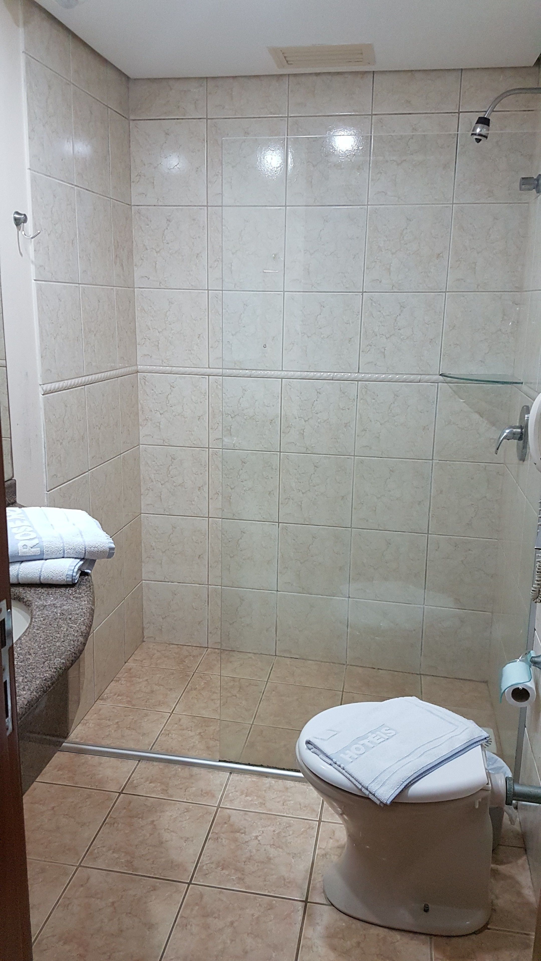deluxe twin room, 1 double bed, non smoking | bathroom shower