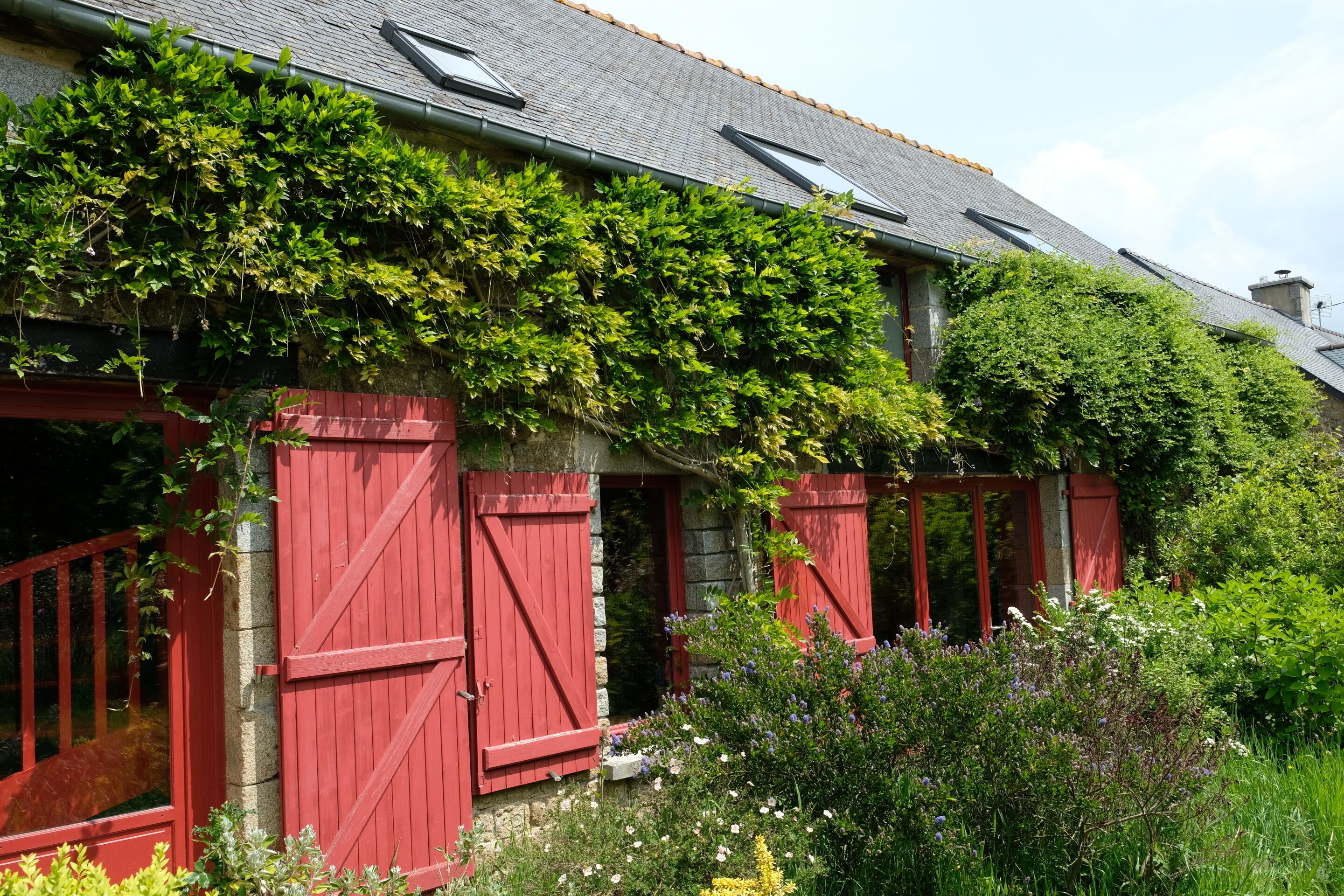 Un bâtiment rustique en pierre, avec des volets rouges et un toit recouvert de lierre vert.