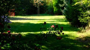 Ein Garten mit einem Pfad, der von Bäumen und Büschen gesäumt wird.