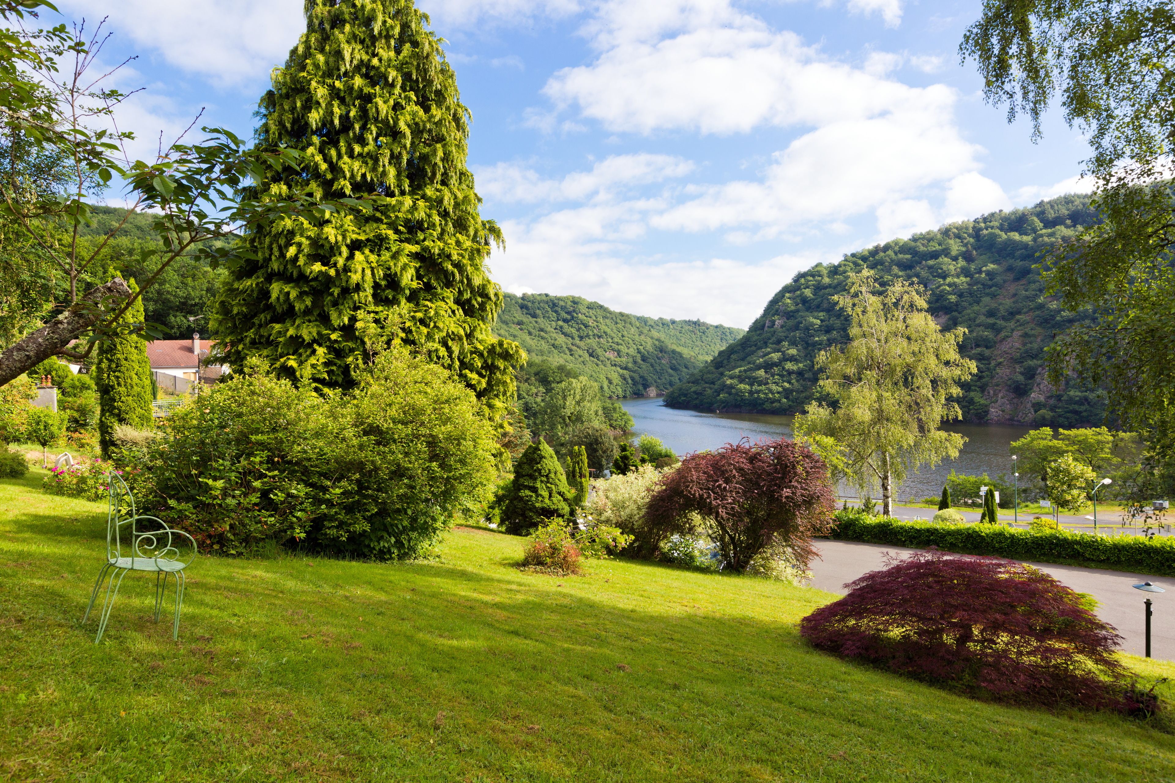 A lush park with a lake, a tall tree, and a chair.