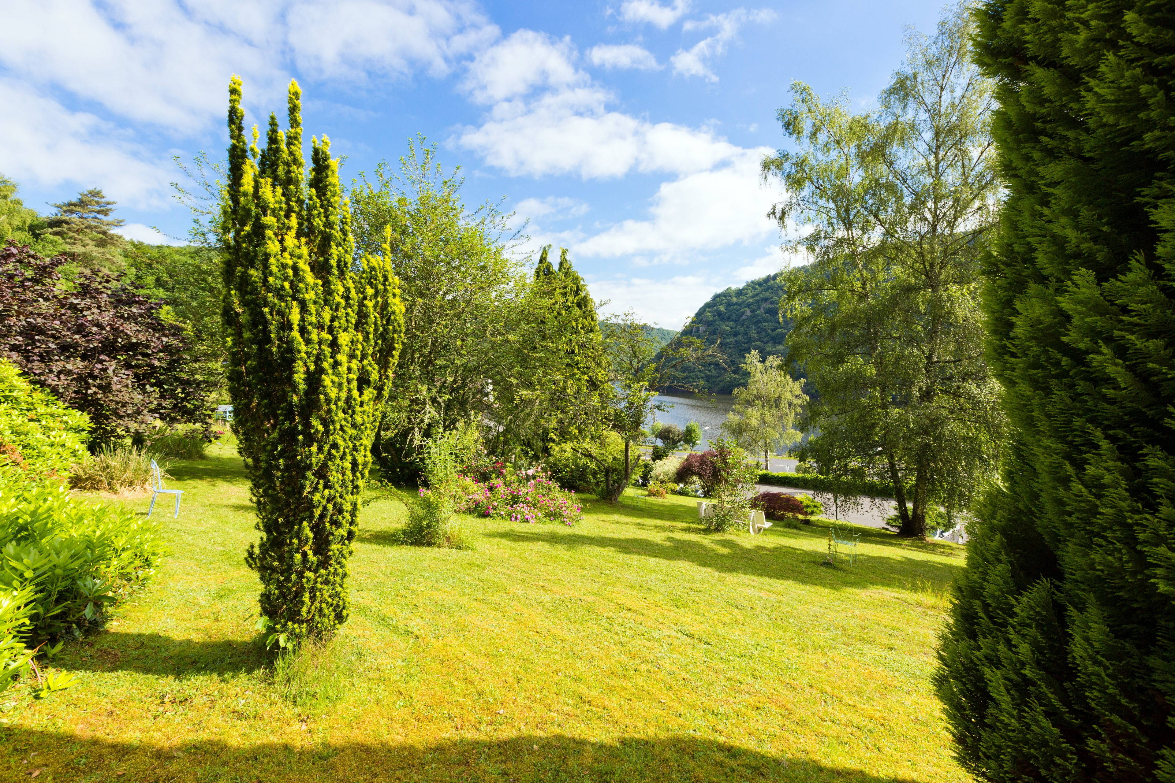 A well-maintained garden with a variety of trees and shrubs, a grassy lawn, and a body of water in the background.