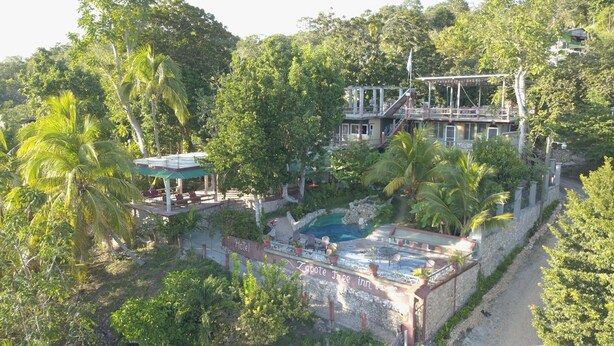 A hotel with a pool, outdoor seating, and lush greenery.
