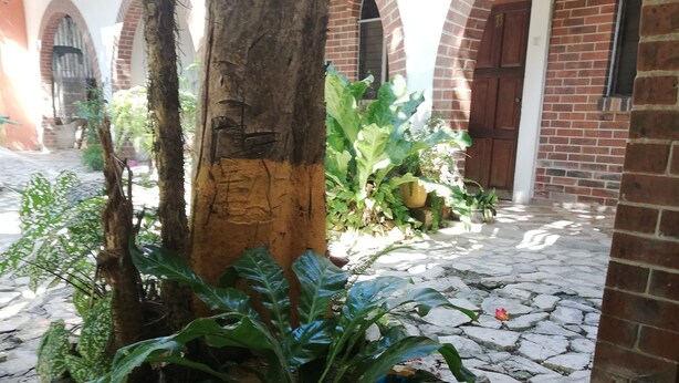 A courtyard with a stone floor, a tree, and brick walls with arched doorways. - Hotel Villa Los Arcos (Flores)