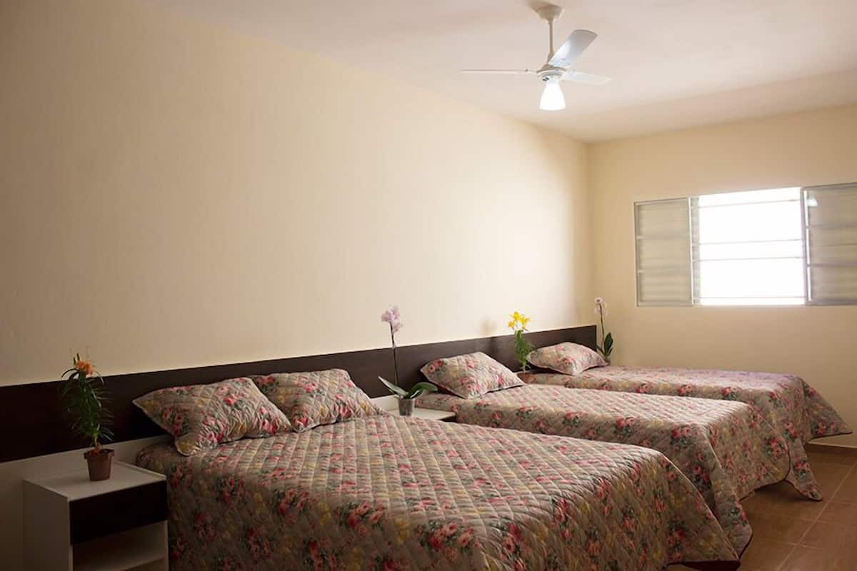 Une chambre avec deux lits, un ventilateur de plafond, une fenêtre avec des stores et une table de chevet agrémentée d’une plante.
