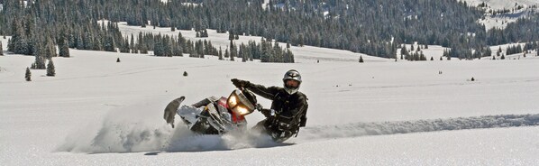 Un conductor de moto de nieve en movimiento sobre un paisaje nevado con árboles y cielo despejado.