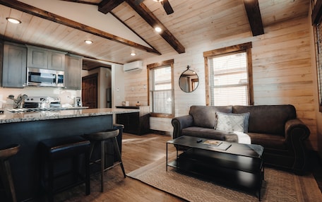 A spacious living area with a dark brown leather sofa, a coffee table, and a kitchen area with a microwave and cabinets.