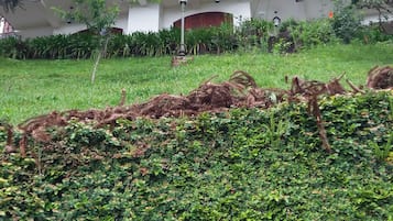 Área da propriedade