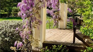 En træterrasse med et pergola overdækket af lilla blomster, omgivet af frodigt grønt og en velplejet have.