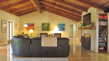 Smart-tv, een open haard, een dvd-speler en boeken