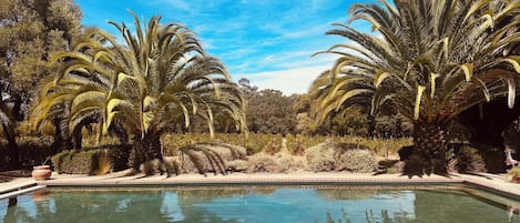 A pool surrounded by palm trees and a clear sky.