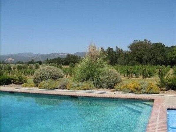 Relax by the serene pool surrounded by lush greenery and trees.