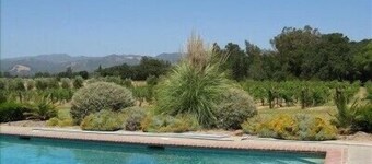 Secluded Sonoma Country Retreat Views Pool-Spa-Vineyard-Olive Grove