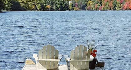 Blue Heron c/w Algonquin & Arrowhead Pass - Bring your pet free!