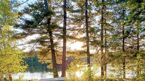 Un jardín tranquilo junto al lago, con un sendero de piedra que conduce a un muelle.