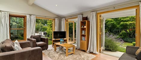 TV, DVD player, books