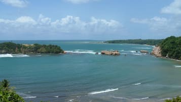 Playa en los alrededores, camastros y toallas de playa