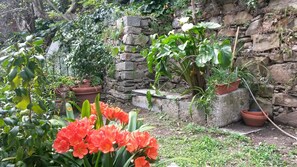 Property grounds - CINQU TERRE In the hearth the village a fine apartment with terraces in the sun (Riomaggiore)