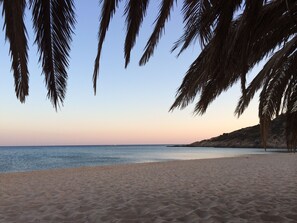 Una playa con palmeras y cielo despejado.