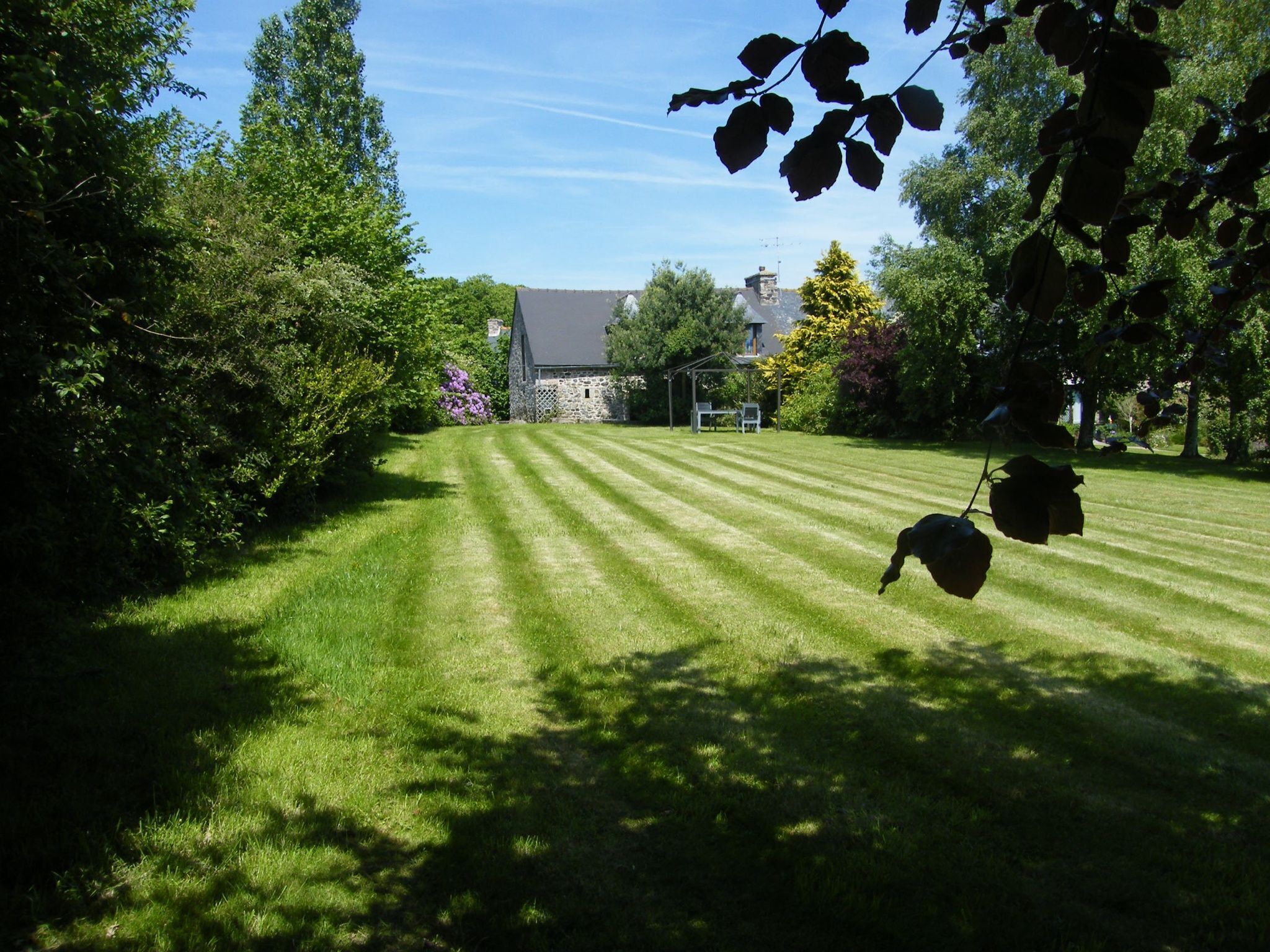 A well-maintained lawn with a stone building in the background.