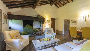 TV, caminetto, libri