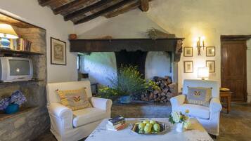 TV, caminetto, libri