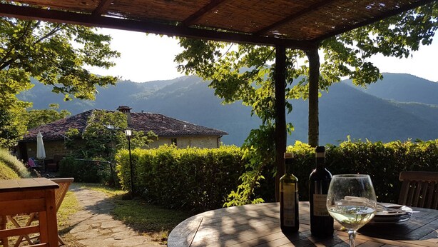 A wooden table with wine bottles and a glass, set outdoors with a view of mountains and a house in the background.
