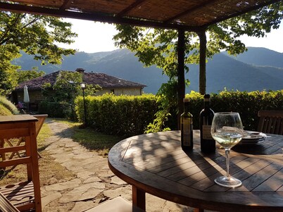 Villa + pool near Florence. La Casaccia . Sleeps 6+ 1 baby. Peace and views