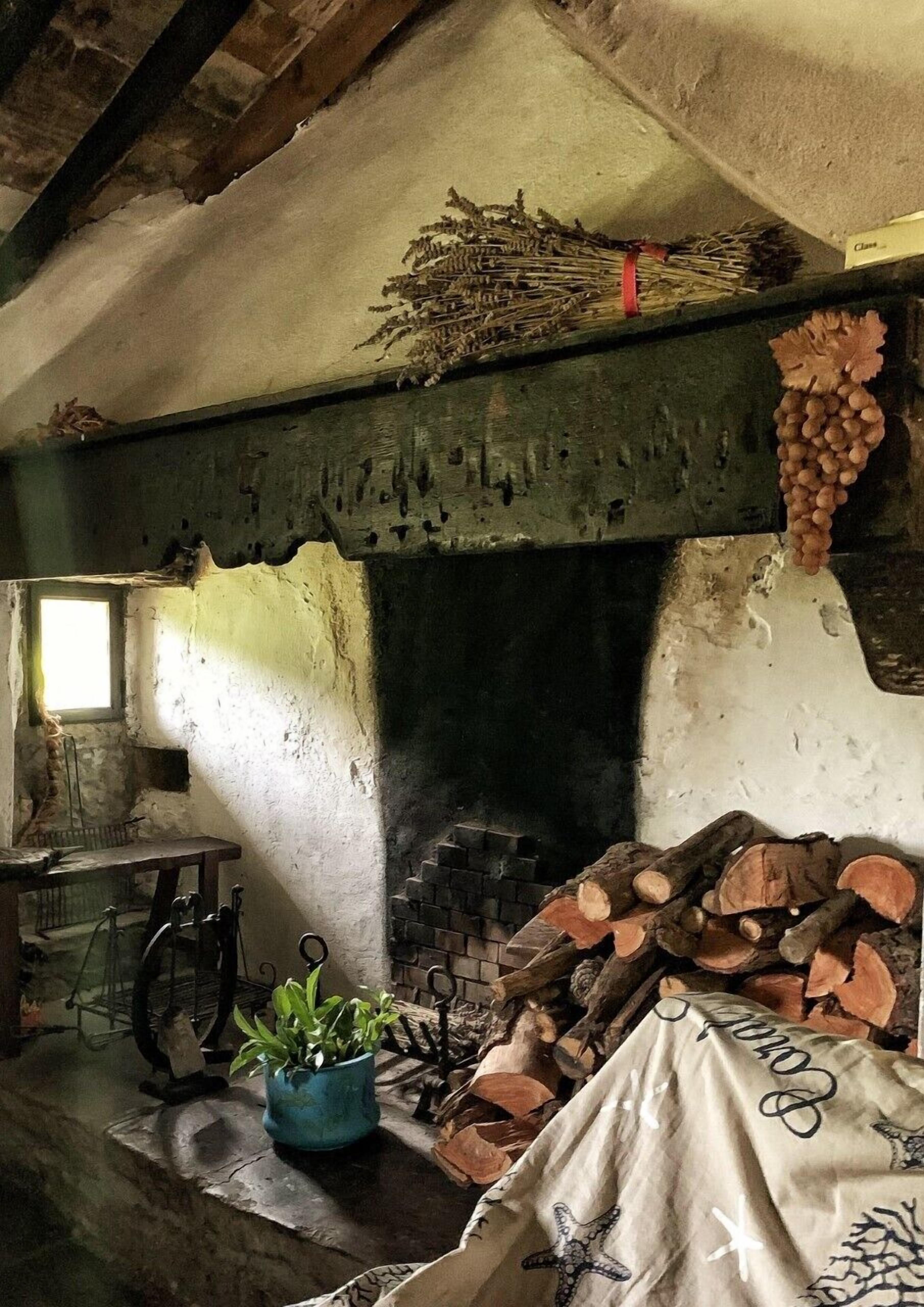 Ein rustikales Zimmer mit Kamin, Fenster und einer Topfpflanze.