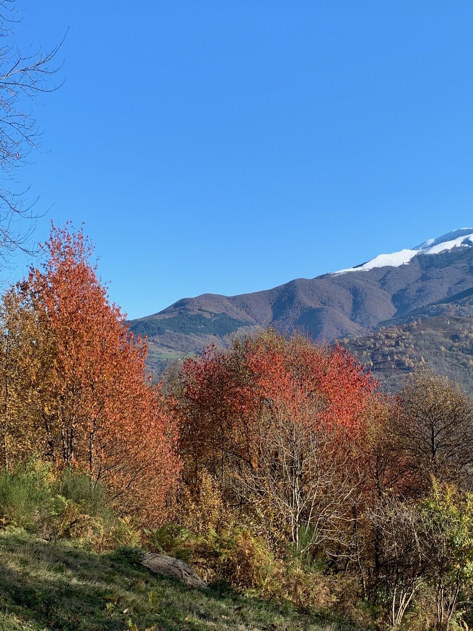 Een berglandschap met herfstkleuren en een heldere lucht.