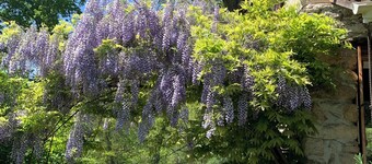 Antoine's Gîte Parco naturale regionale dei Pirenei dell'Ariège