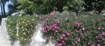 El Parque loma-asunto Ontinyent