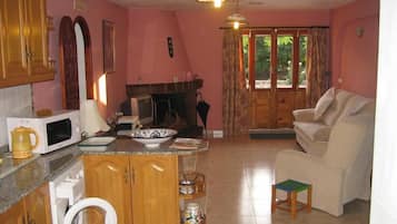 Smart TV, fireplace, books, video library