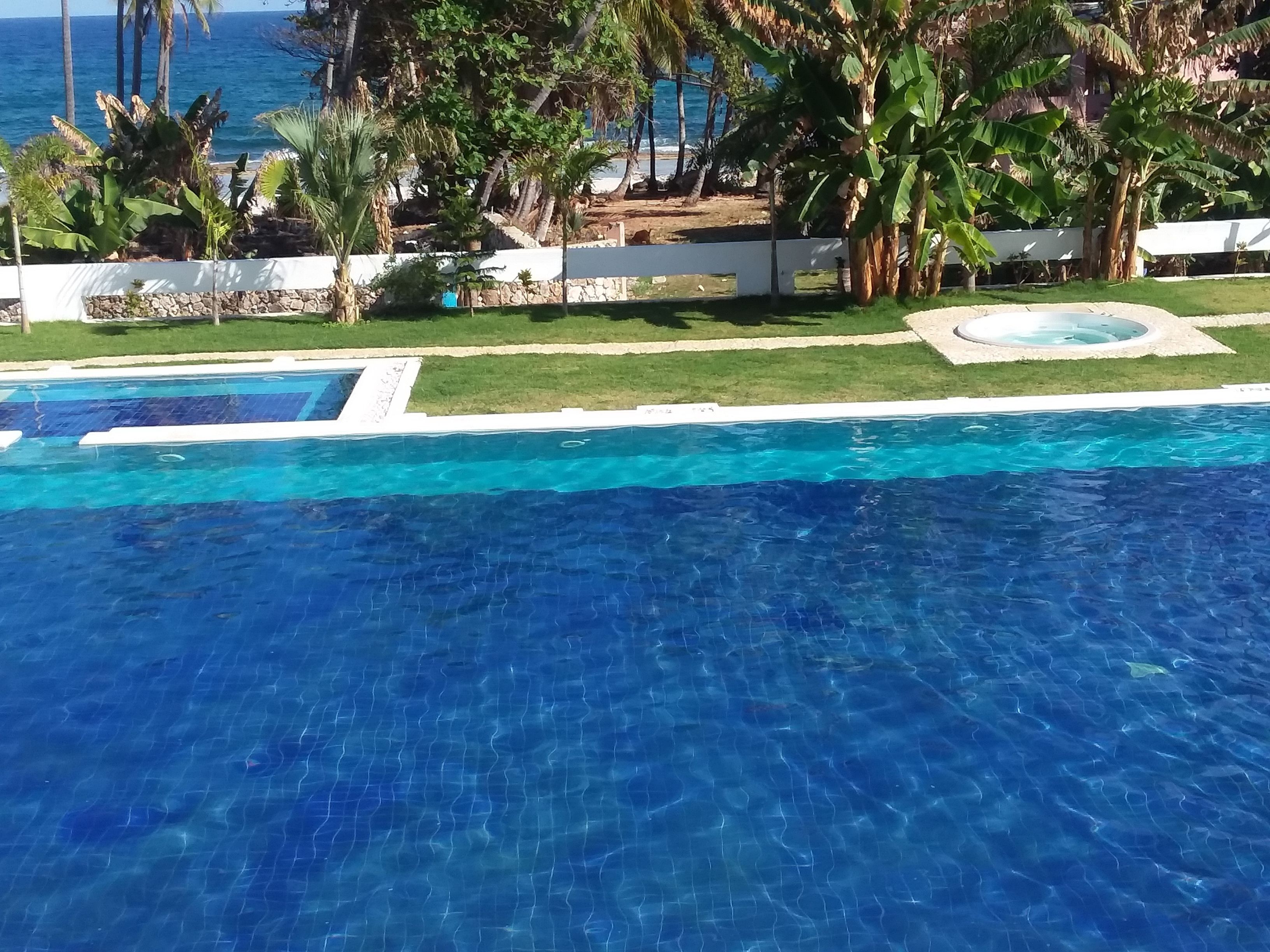 A swimming pool with clear blue water, surrounded by lush greenery and a view of the ocean.