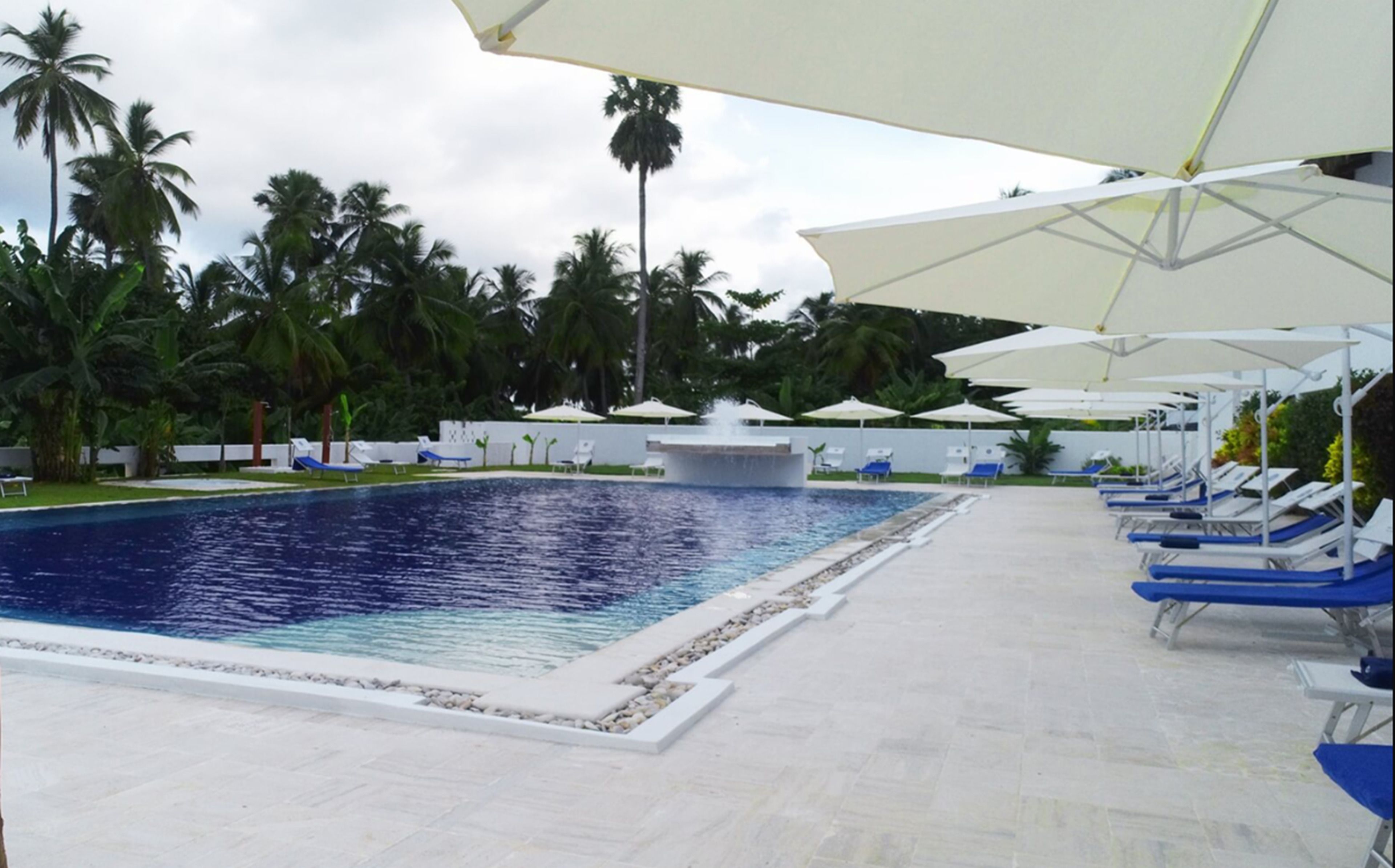 A swimming pool with lounge chairs and umbrellas, surrounded by palm trees.