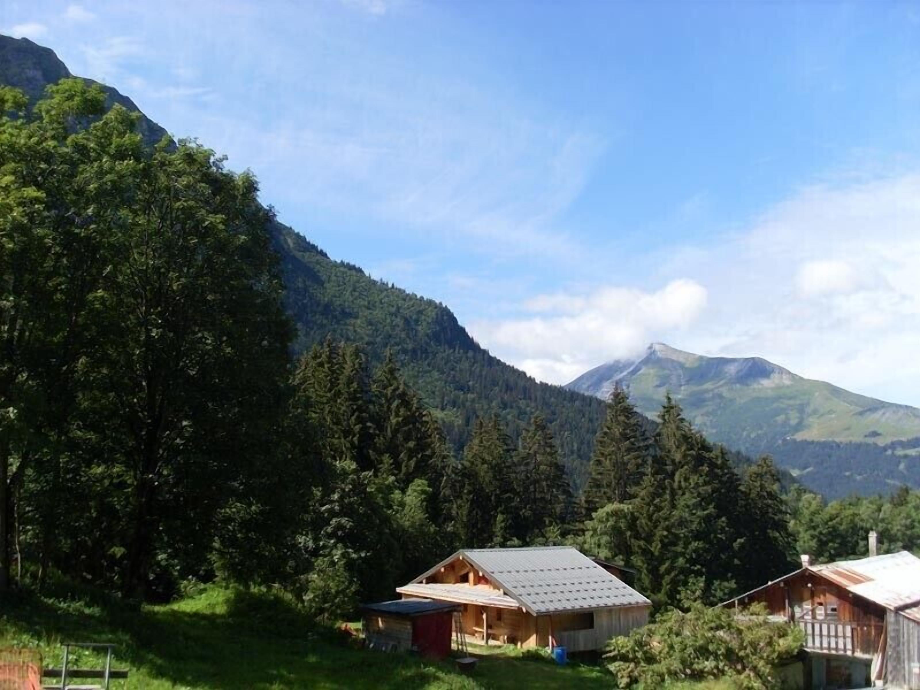 A cabin with a sloped roof, surrounded by dense forest and mountains.