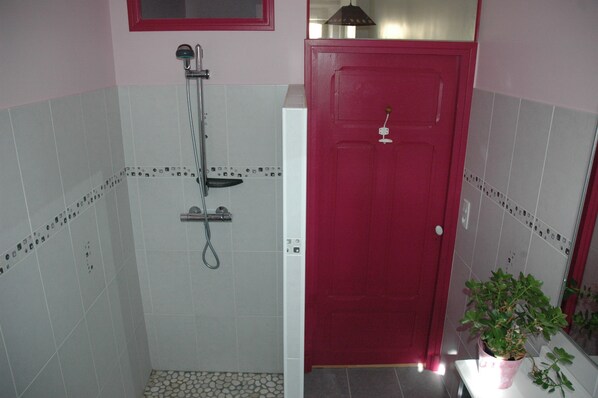Un baño con ducha, una puerta roja y una planta en maceta.
