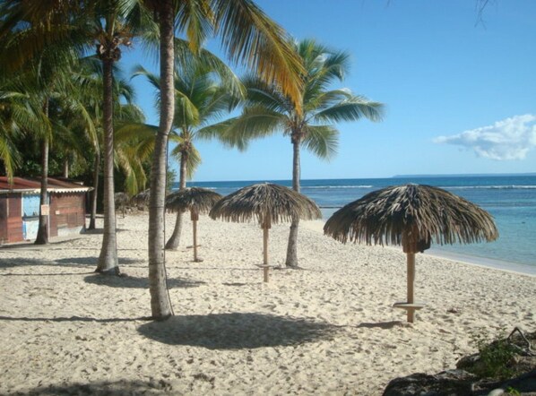 Ein Strand mit Palmen und strohgedeckten Sonnenschirmen.