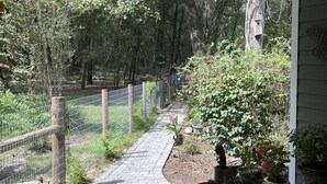 A paved pathway leading through a garden with a wooden fence, potted plants, and a birdhouse on a tree.