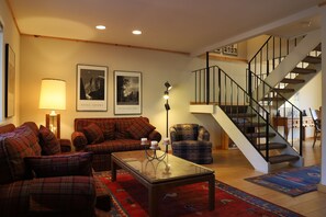 Télévision, cheminée, lecteur de DVD, chaîne hi-fi