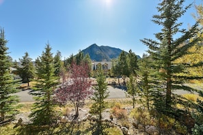 Surrounded by lush trees and a majestic mountain backdrop, this hotel offers a serene escape.
