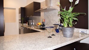 Une cuisine moderne avec des comptoirs en granit, une hotte de cuisinière en acier inoxydable et une plante en pot.