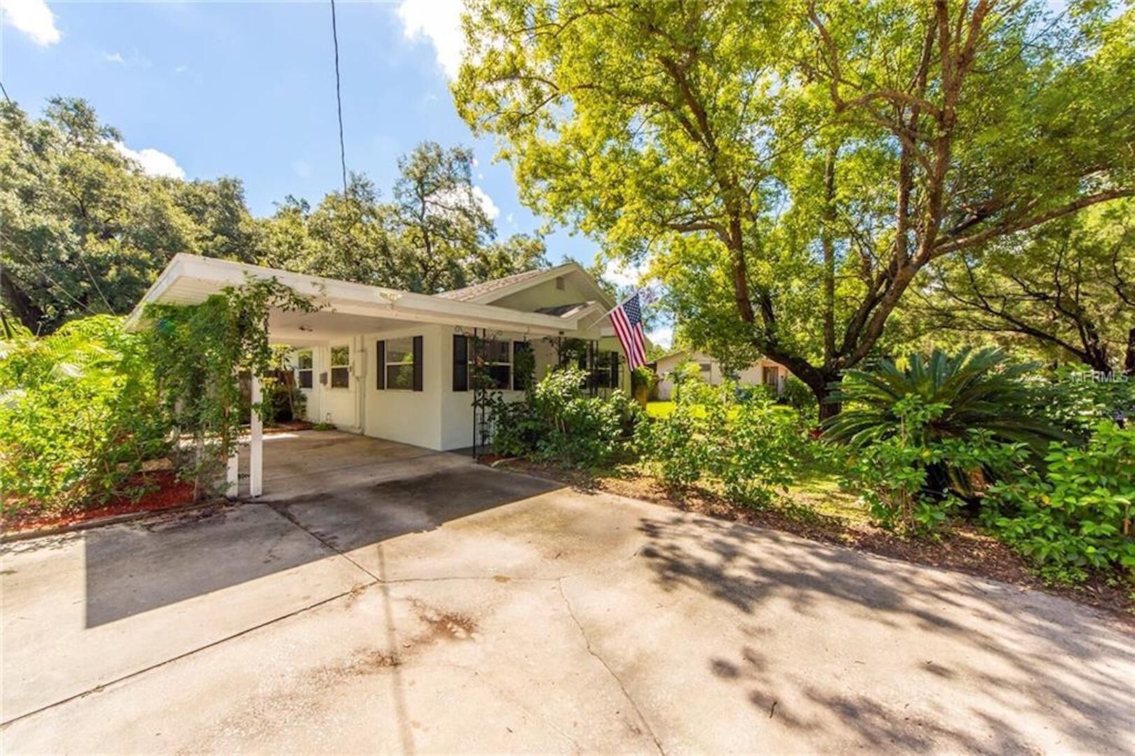 Charming Dunedin - pet and family friendly!