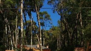 A paved pathway leading to a gated area with trees on either side. - Encanto Chalet-1.5 km from the center, 3 bedrooms, sleeps 8. Spectacular mountain view! (Monte Verde)