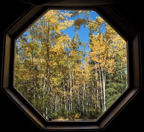Interior - Aspen Haven Cabin in Glennallen (Glennallen)
