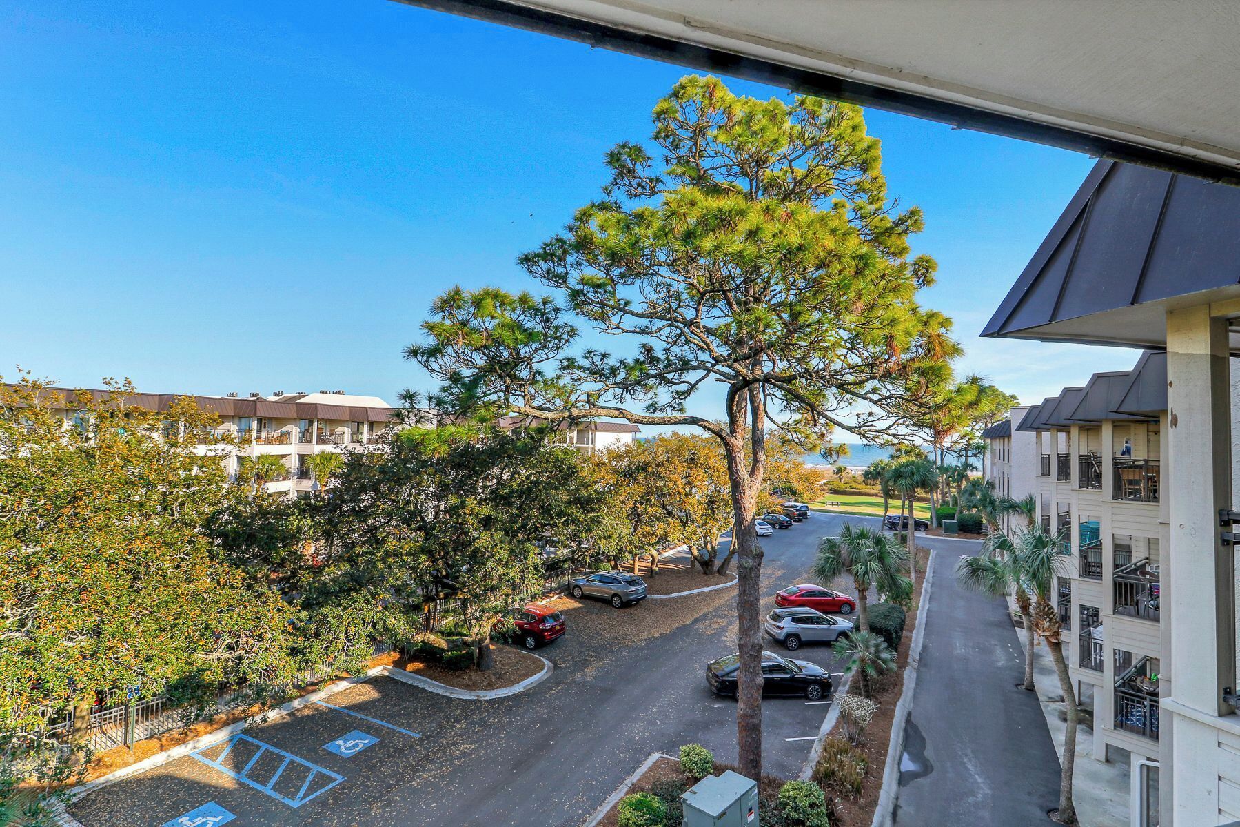 A residential area with a large tree, parked cars, and a clear sky.