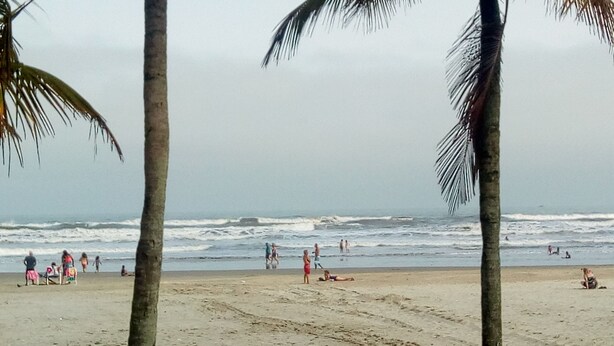 A beach with palm trees, people, and the ocean. - Kit to enjoy the beach, holidays and vacations  (Praia Grande)